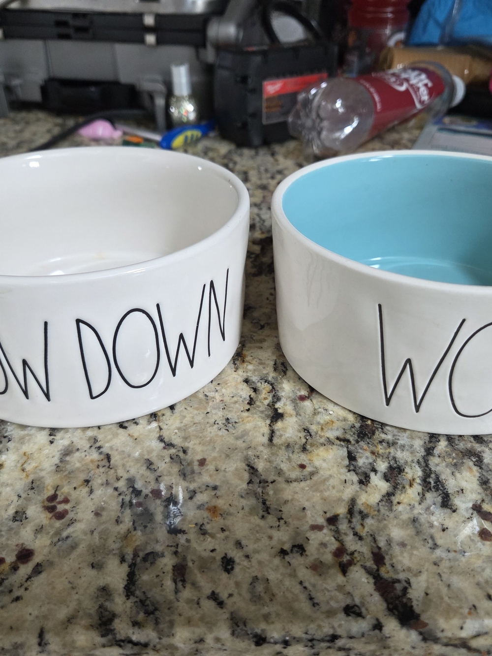 Rae Dunn White Ceramic Dog Bowl with Blue Accent